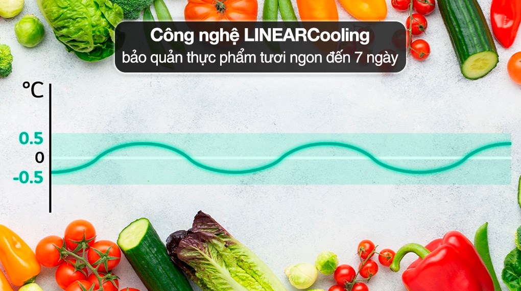 Tủ lạnh Panasonic Inverter 366 lít NR-TL381GVKV